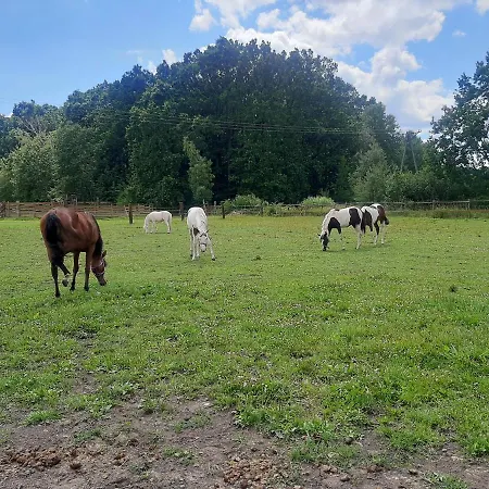 شاليه Ranczo Siodmy Kon