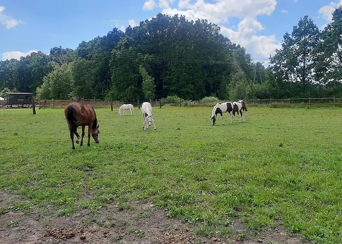 Domek alpejski Ranczo Siódmy Koń
