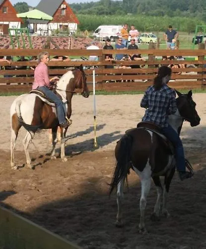 Domek alpejski Ranczo Siódmy Koń *