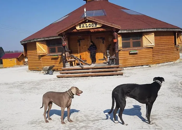 Domek alpejski Ranczo Siódmy Koń Złoty Stok